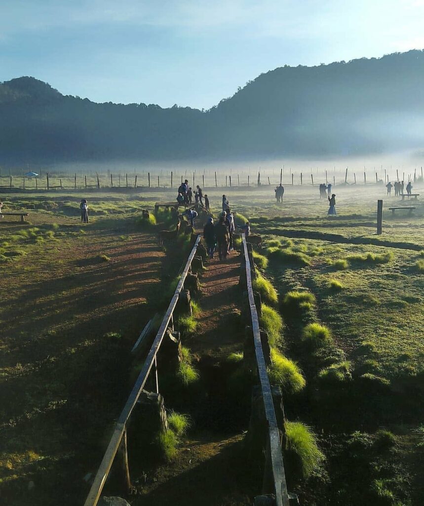 Ciwidey Highlands