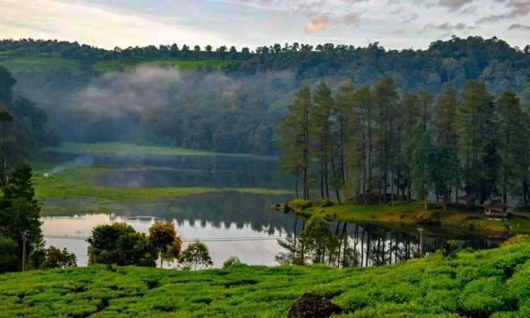 Ciwidey Highlands