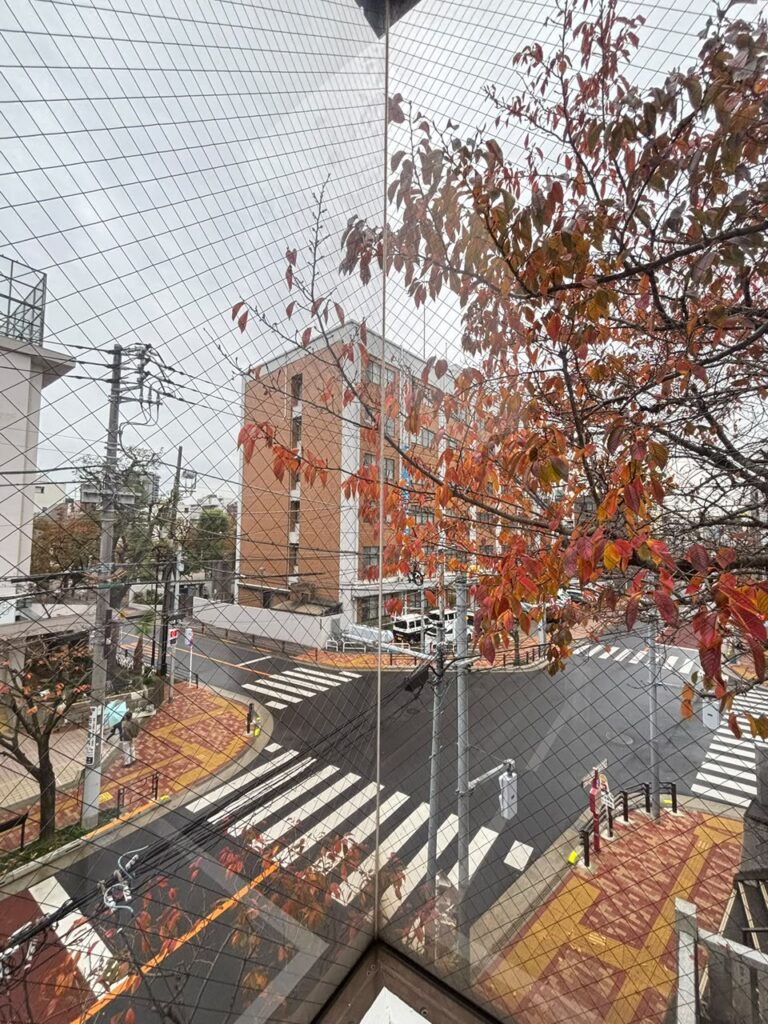 Tokyo & Osaka